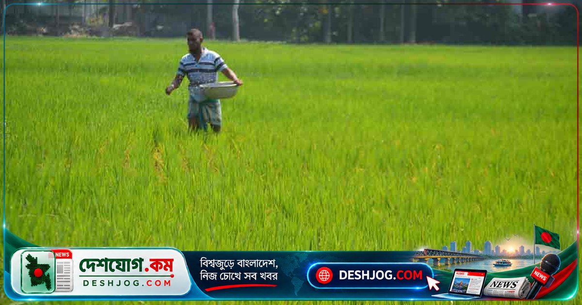 কুড়িগ্রামে ৫ বছরে সর্বোচ্চ সেপ্টেম্বর বরাদ্দ: অতিরিক্ত ১০০০ টন ইউরিয়া সার পেল জেলা