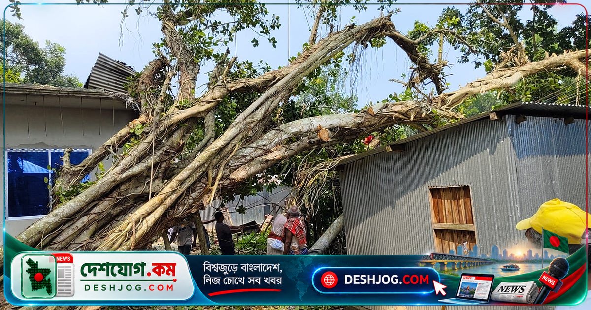 কুমারখালীতে বটগাছের ভাঙন: বাড়ি ভেঙে যায়, ৫০ বছর বয়সী মহিলা আহত, ১৫০ পরিবার বিদ্যুৎহীন