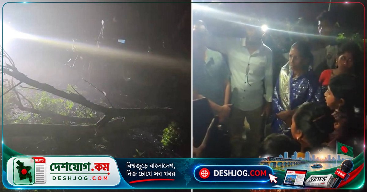 কুষ্টিয়ার মিরপুরে রাতের অন্ধকারে গাছ ফেলে ডাকাতির ভয়াবহ ঘটনা: চার নারীর গয়না ও অটোরিকশার মালামাল ছিনতাই