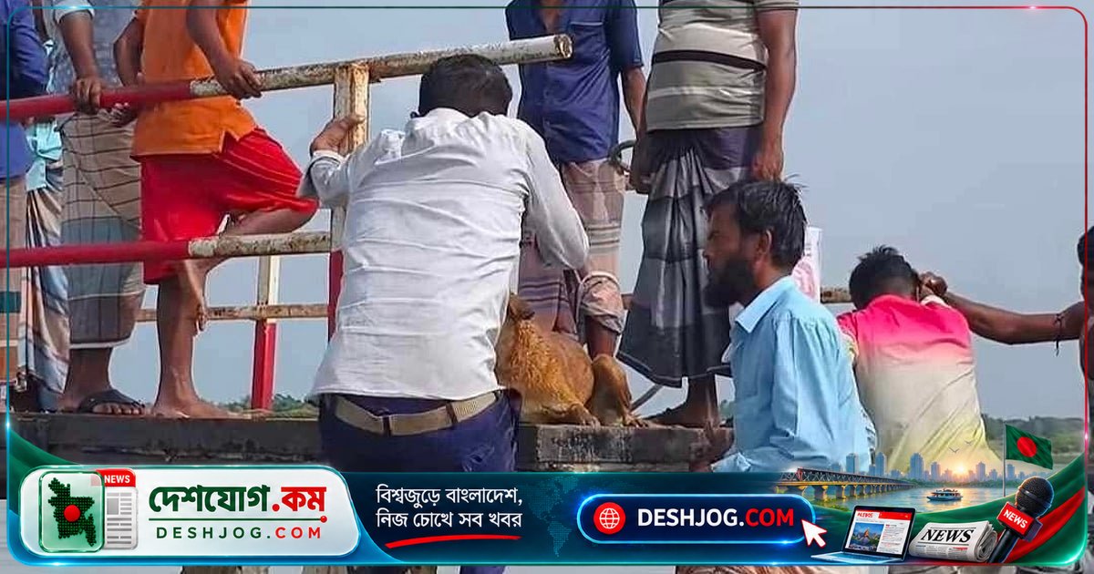 কুতুবদিয়া থেকে বাঁশখালী সাগরযাত্রায় কুকুরের জীবন বাঁচালো যাত্রীরা