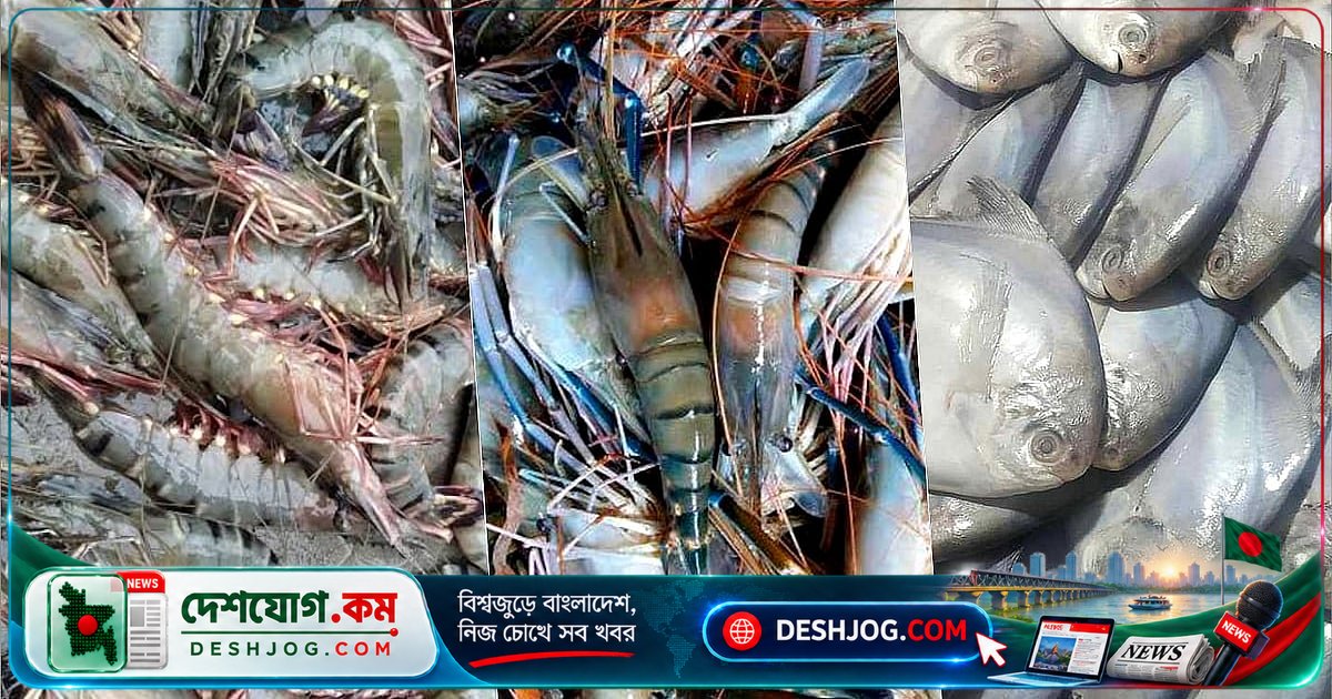 কুয়েতের উপহার মাছ বিক্রি হচ্ছে না: তৃতীয়বারের নিলামে অংশ নেওয়ার শেষ মেয়াদ ৩০ সেপ্টেম্বর