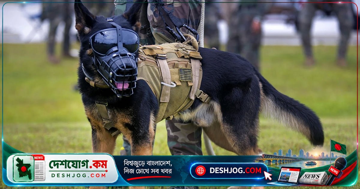 ল্যাবরেটরিতে জন্ম নিচ্ছে সুপারডগ: কুকুরের জিন এডিটিং প্রযুক্তি কতটা নিরাপদ?