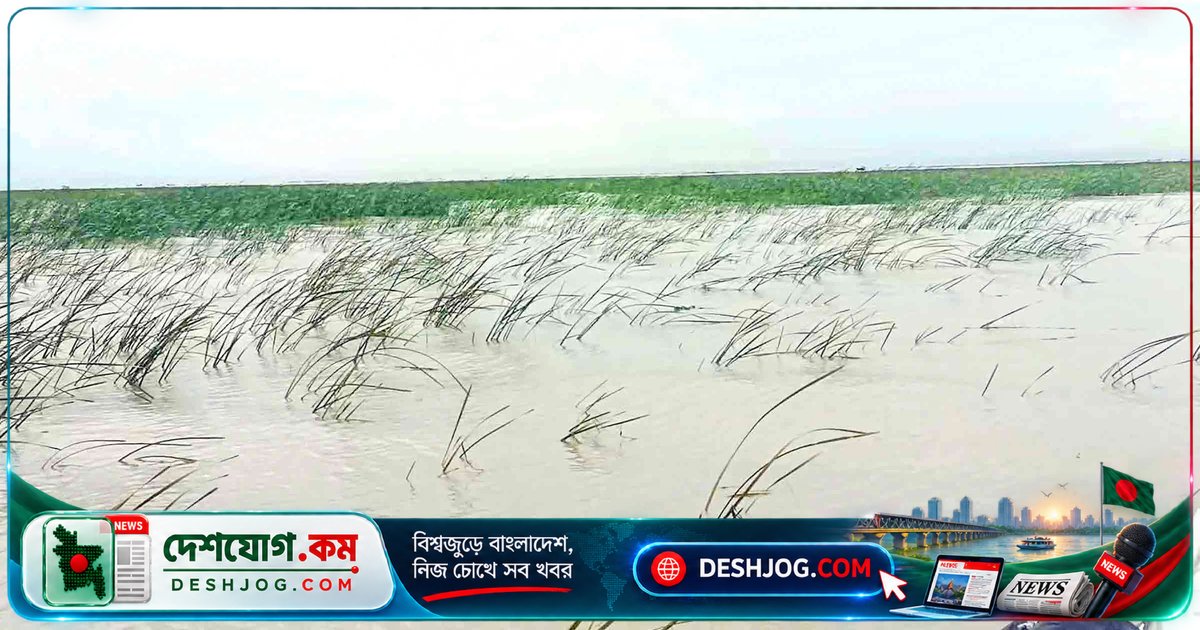 লক্ষ্মীপুরের কমলনগর: মেঘনা নদীর নতুন চর দখলের আশঙ্কা জাগ্রত