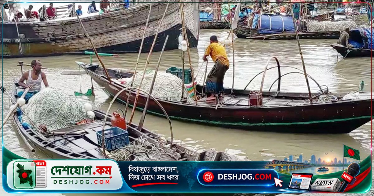 লক্ষ্মীপুরে ইলিশের মৌসুমে জালে ধরা পড়ছে মাছ, দাম কমছে ৭০০ টাকা