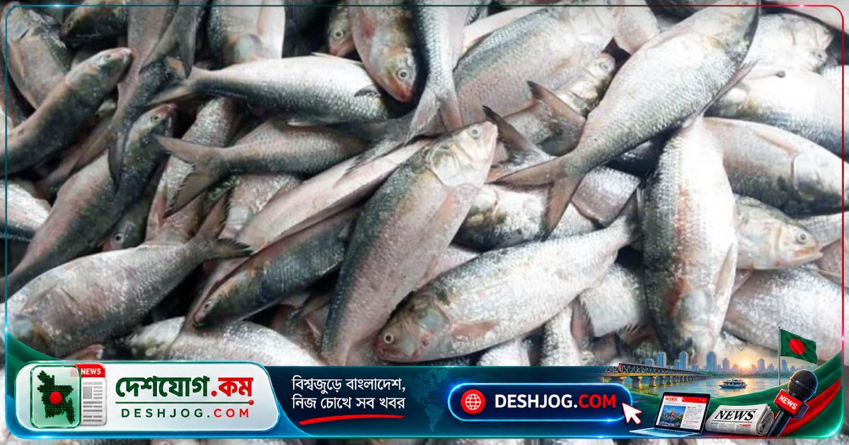 লক্ষ্মীপুরে মা ইলিশ রক্ষায় নিষেধাজ্ঞা অমান্য ও খাদ্য সহায়তা বিতরণে বিলম্ব: ১২ হাজার জেলে আগ্রহিন