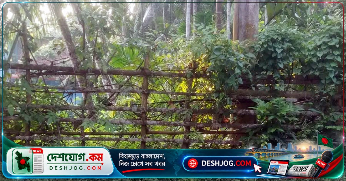 লক্ষ্মীপুরের রায়পুরে সাংবাদিকের জমি দখল চেষ্টায় দু'জনকে গ্রেপ্তারি পরোয়ানা, অভিযুক্তরা আদালতে উপস্থিত হননি