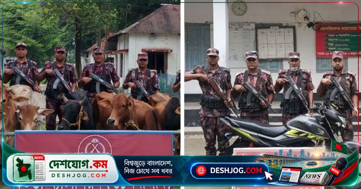 লালমনিরহাটের পাটগ্রামে ভারতীয় পাচারকারীদের ১২টি গরু ও মোটরসাইকেল উদ্ধার: বিজিবির অভিযান