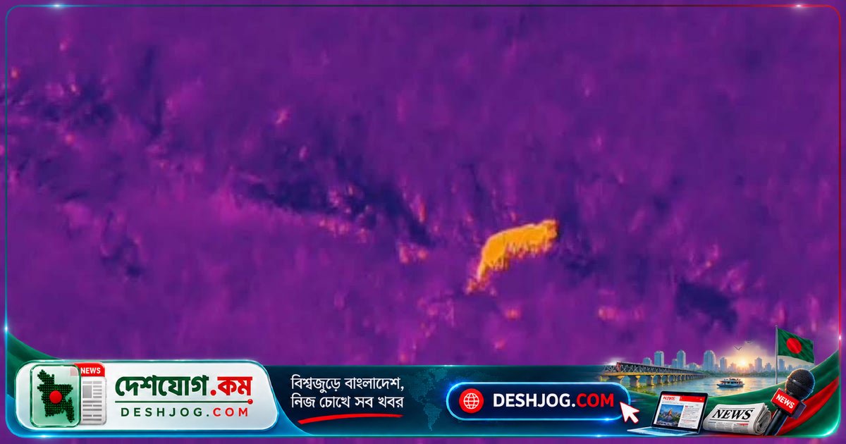লালমনিরহাটে চিতা বাঘের আক্রমণে আহত তিনজন, পাঁচ ইউনিয়নে তল্লাশি চালানো হলো
