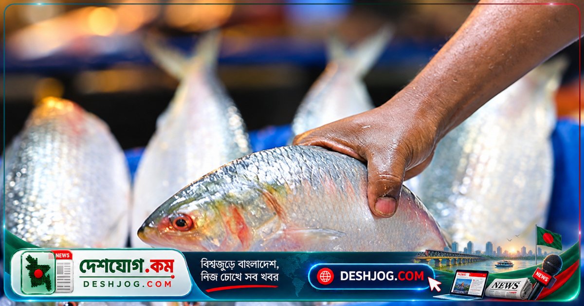 লালমোহনের মেঘনা-তেঁতুলিয়া নদীতে ইলিশের আকাল: দামে নিম্ন আয়ের মানুষের কষ্ট