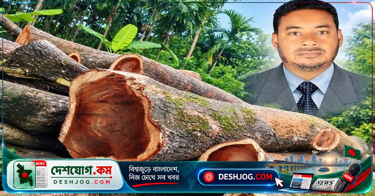 লালমোহনে যুবদল নেতা ও সহযোগীর বিরুদ্ধে শতাধিক সরকারি গাছ কাটা ও বিক্রির অভিযোগ: ৫০ লাখ টাকার অপচয়