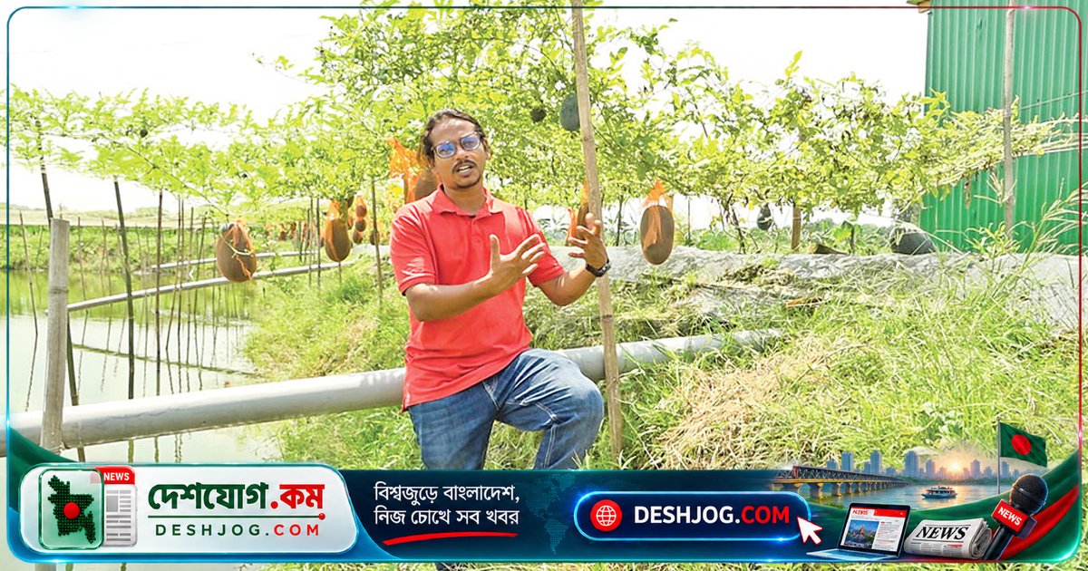 ললিতনগরের উদ্যোক্তা কৃষক: পুকুরে মাছ ও পাড়ে সবজি দিয়ে কৃষিকে টেকসই করে তুলেছেন এক তরুণ