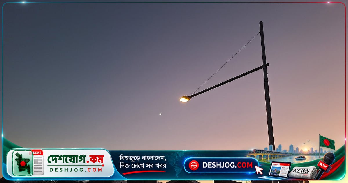 অস্ট্রেলিয়ার ল্যাম্পপোস্টের দৃষ্টিকোণ থেকে প্রবাসীর মনোভাবের গভীর গল্প