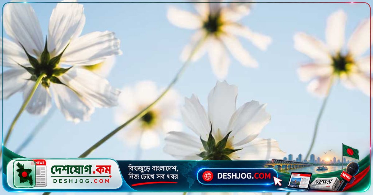 যৌনজীবনে দেরি করলেও আত্মবিশ্বাস ও যোগাযোগই মূল — বিশেষজ্ঞদের পরামর্শ