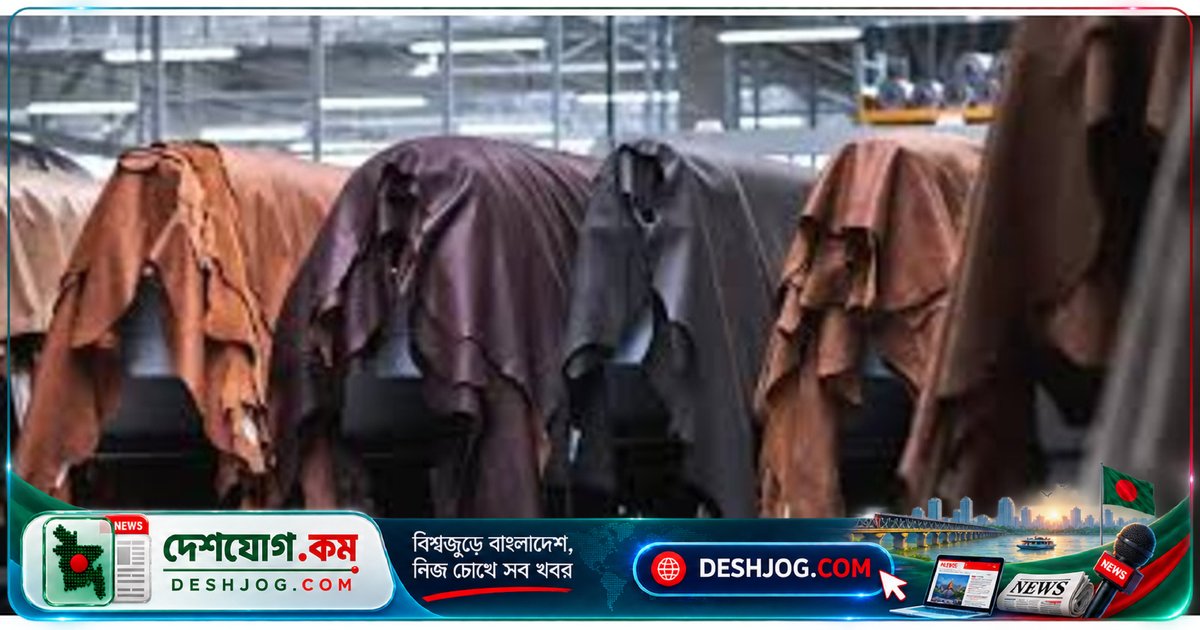 চামড়াশিল্পের পুনর্জাগরণে সরকারের ব্যাপক সংস্কার উদ্যোগ: নতুন বিনিয়োগ ও বৈশ্বিক মান অর্জনের লক্ষ্যে যুগান্তকারী পরিকল্পনা