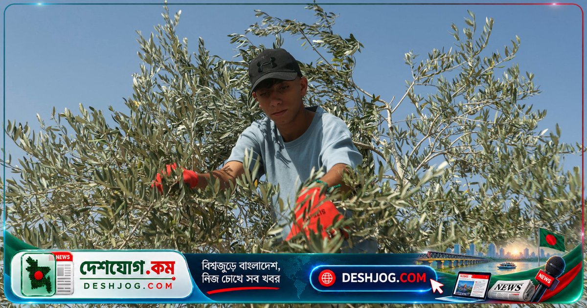 লেবাননের দক্ষিণাঞ্চলে ইসরায়েলি আক্রমণে দু’জন মারা যায় অলিভ হার্ভেস্টে