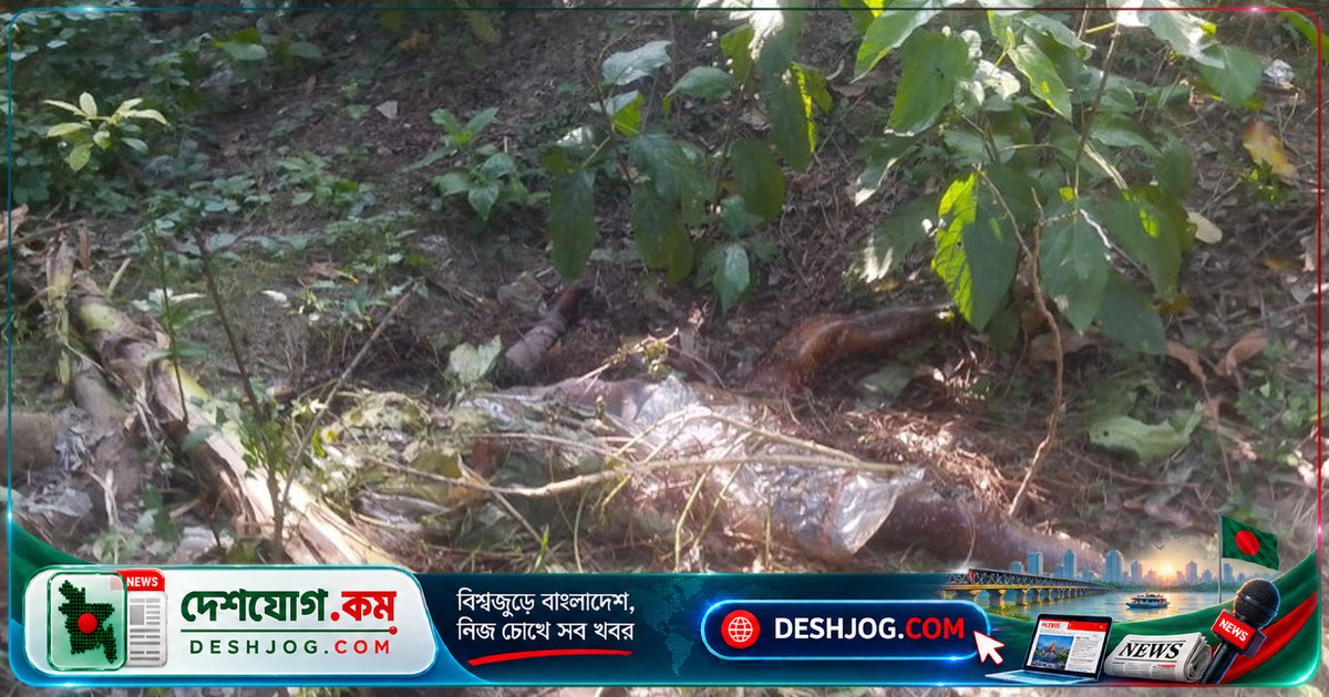 জীবননগরে পাঁচ দিন নিখোঁজ ভ্যানচালককে হত্যা করে মস্তকবিহীন মরদেহ উদ্ধার পুলিশ
