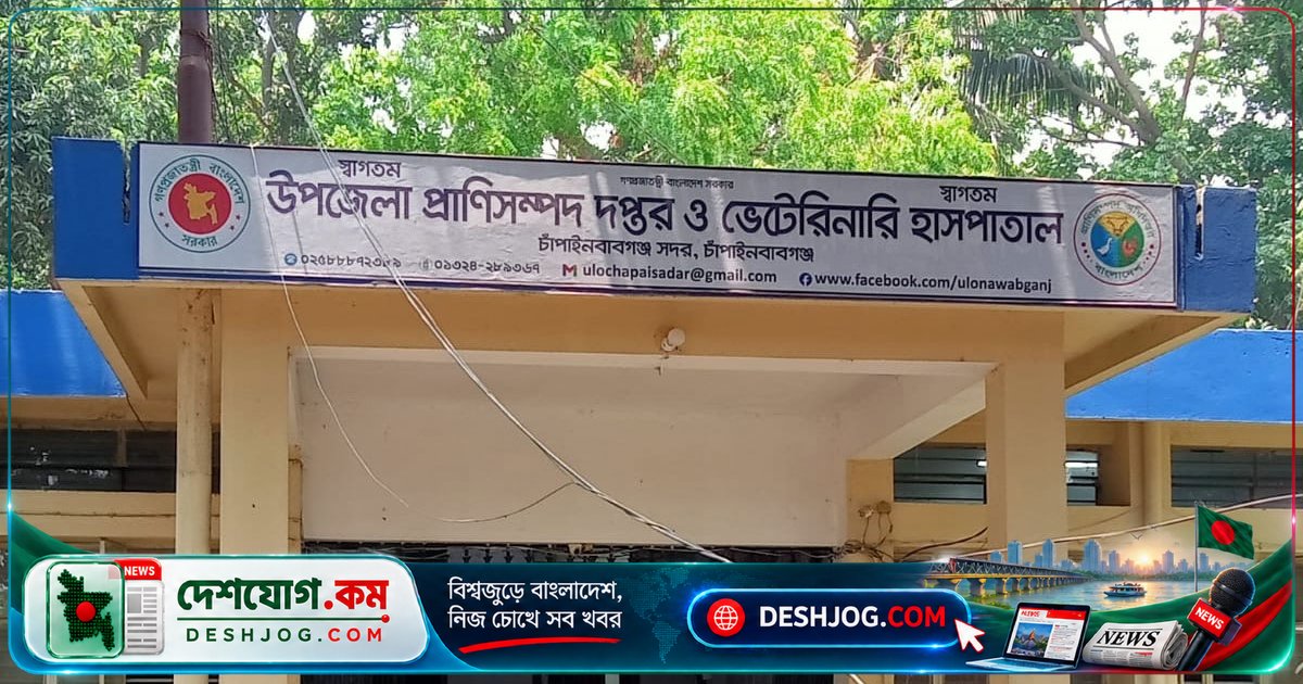 চাঁপাইনবাবগঞ্জের প্রাণিসম্পদ দপ্তরে জনবল সংকটে পড়ে কার্যক্রমের গতি
