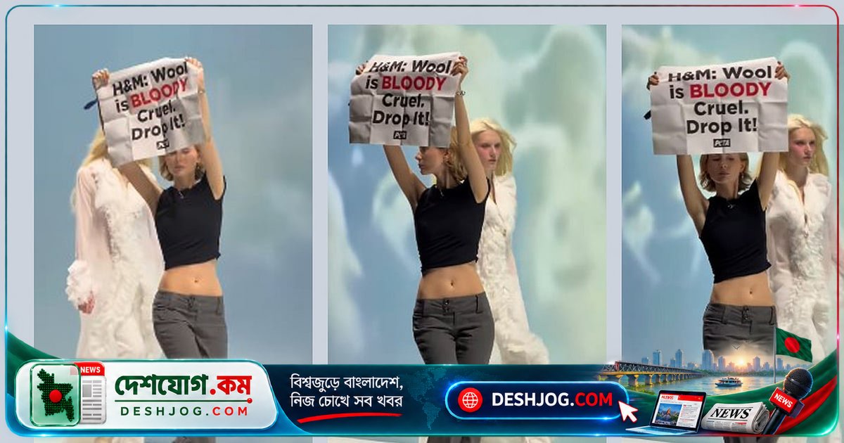 লন্ডনের এইচএমএফ ফ্যাশন শোতে ভেড়ার পশম প্রতিবাদে পেটা কর্মীদের বাধা: কীভাবে পরিচালনা করল ব্র্যান্ড?