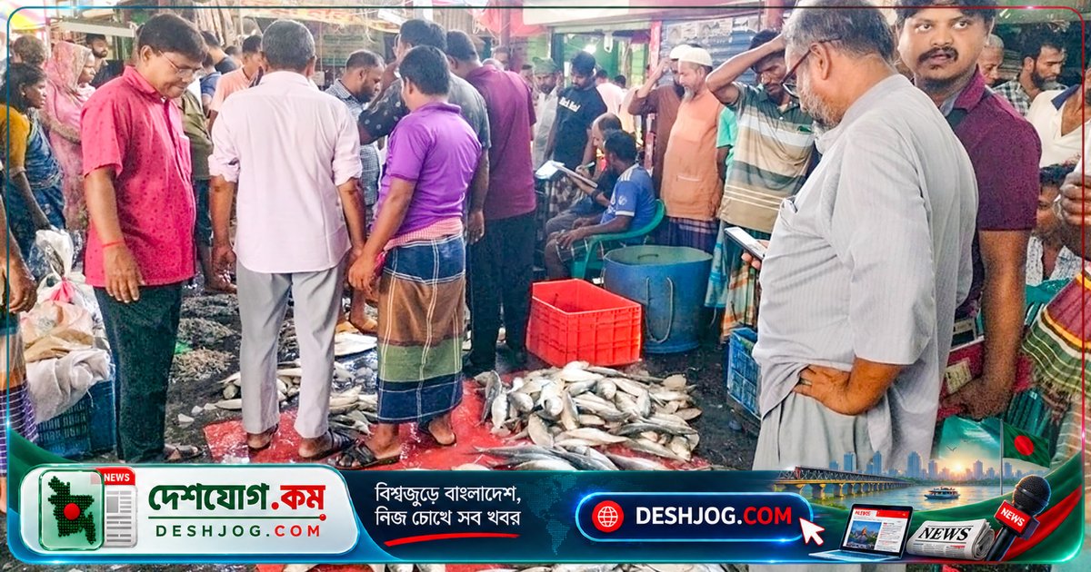 মা ইলিশ রক্ষায় রাজনৈতিক সমর্থন ও অর্থসংকটে প্রশাসনের চ্যালেঞ্জ: ২২ দিনের নিষেধাজ্ঞা শুরু হলো ৭ অক্টোবর রাত ১২টায়