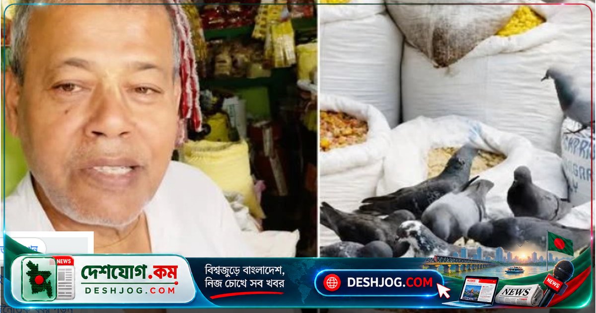 মাদারীপুরের দোকানদার পাখিদের খাবার দিয়ে দিচ্ছেন প্রতিদিন — ‘ঈশ্বর আমাকে অনেক দিয়েছেন’