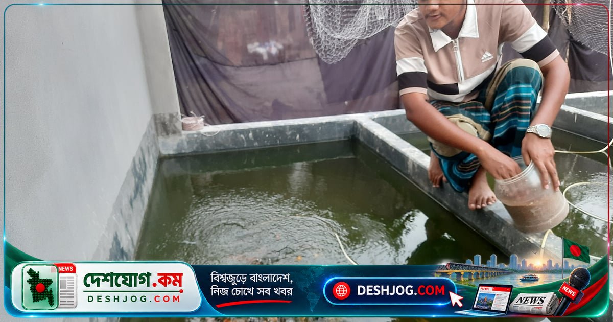 মাদ্রাসা ছাত্রের ৪০ টাকার মাছ থেকে গড়ে উঠল ৩০ লাখের হ্যাচারি ব্যবসা