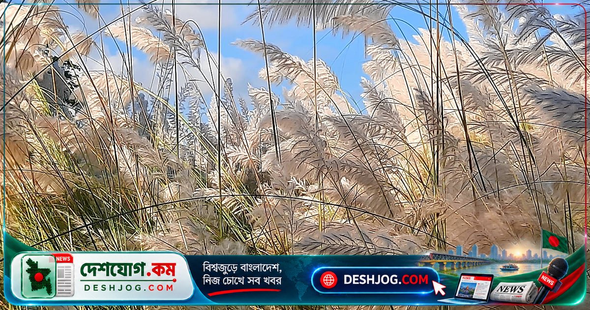 মাগুরা থেকে বান্দরবান: ভেঙে পড়া সাঁকো ও রেমাক্রি ফলসের সৌন্দর্য — পাঠকের ছবি সংগ্রহ