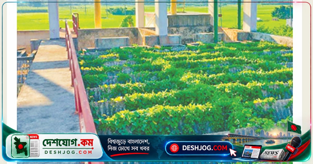 মাগুরা পৌর এলাকায় বন্ধ পানি শোধনাগার: দুর্গন্ধযুক্ত পানি সরবরাহে সংকটের কেন্দ্রে ৯ কোটি টাকার প্রকল্প