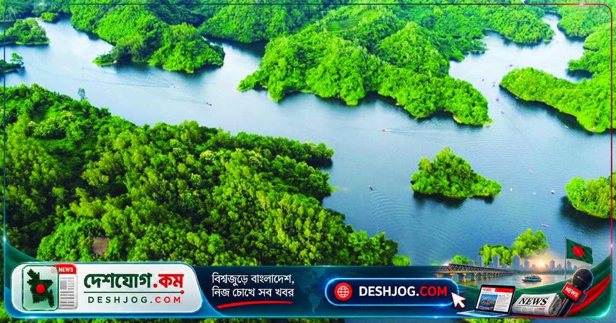 মহামায়া লেক: বাংলাদেশের দ্বিতীয় বৃহত্তম কৃত্রিম লেকের প্রকৃতি ও পর্যটন সুযোগের অপার গল্প