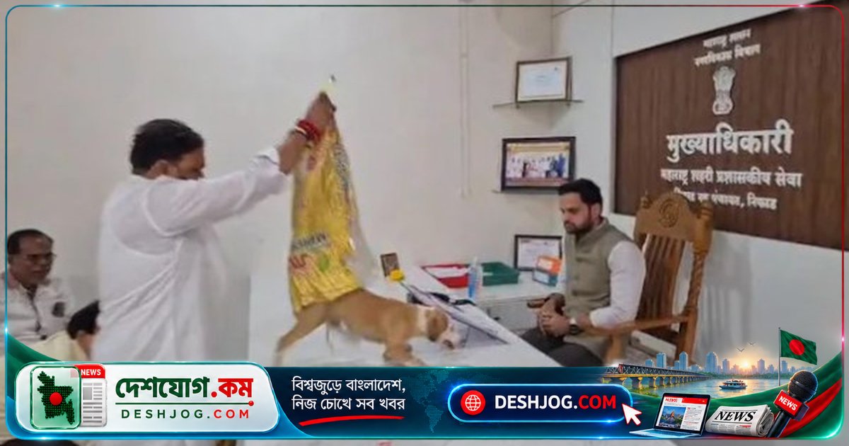 মহারাষ্ট্রে পথকুকুরের উৎপাতের প্রতিবাদে কর্মকর্তার টেবিলে ছেড়ে দেওয়া চারটি কুকুর