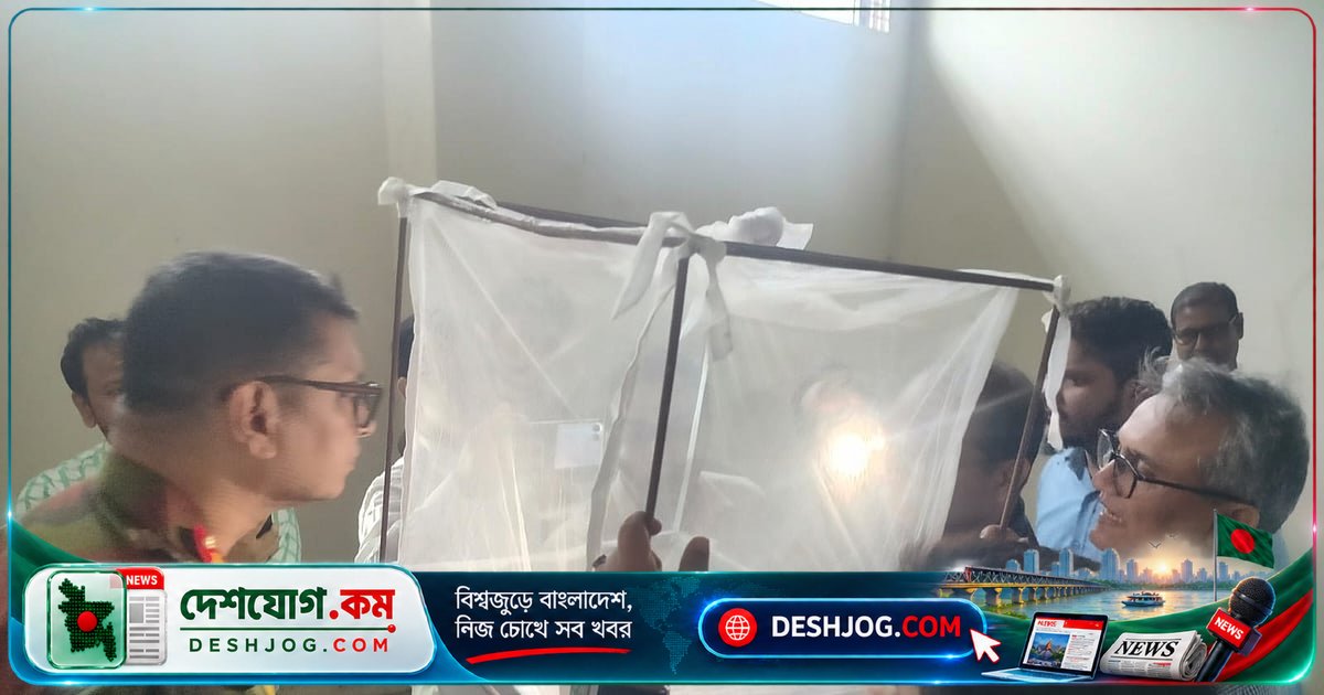ম্যালাথিয়ন ওষুধের কার্যকারিতা যাচাই: ২৪ ঘণ্টায় মারা গেল ৪০০ মশা, নিয়ন্ত্রণ খাঁচায় পাঁচটি মারা গেল