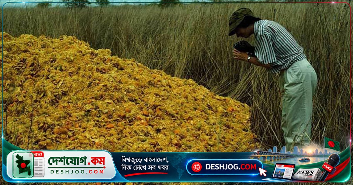 কমলার খোসা থেকে সবুজ জঙ্গল: ১৬ বছর পর কীভাবে অনুর্বর জমি ফিরে পায় জীবন