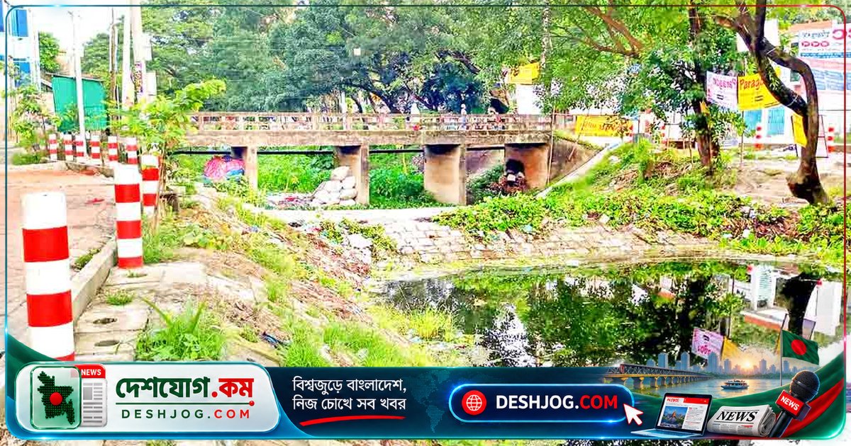 ৫২ কোটি টাকায় সংস্কার হলেও মানিকগঞ্জের মৃতপ্রায় খালে পানি বন্ধ, বর্জ্যে ডুবে যাচ্ছে শহর