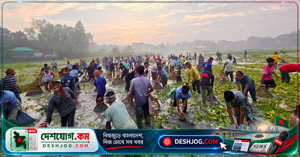 মানিকগঞ্জের ঐতিহ্যবাহী পলোবাইচে ভোরের আলোতে মাছ শিকার ও মিলনমেলা