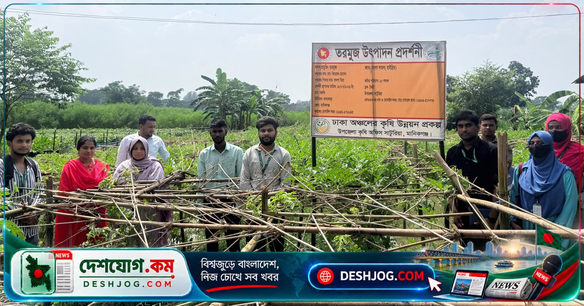 মানিকগঞ্জের সাটুরিয়া: মাচা পদ্ধতিতে অসময়ে তরমুজ চাষে কৃষক ফিরোজের সাফল্য ও এলাকার সম্ভাবনা