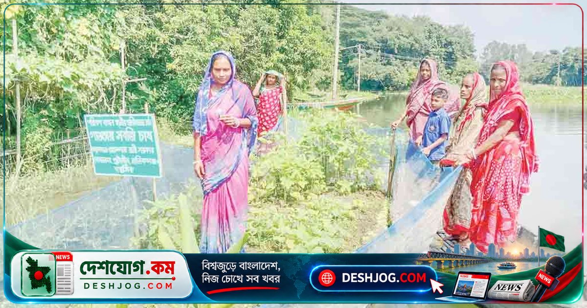 মানিকগঞ্জের কৃষাণী আলপনা: ভাসমান গাওতায় বর্ষায় উৎপাদন করে ৬০ হাজার টাকা লাভের আশা