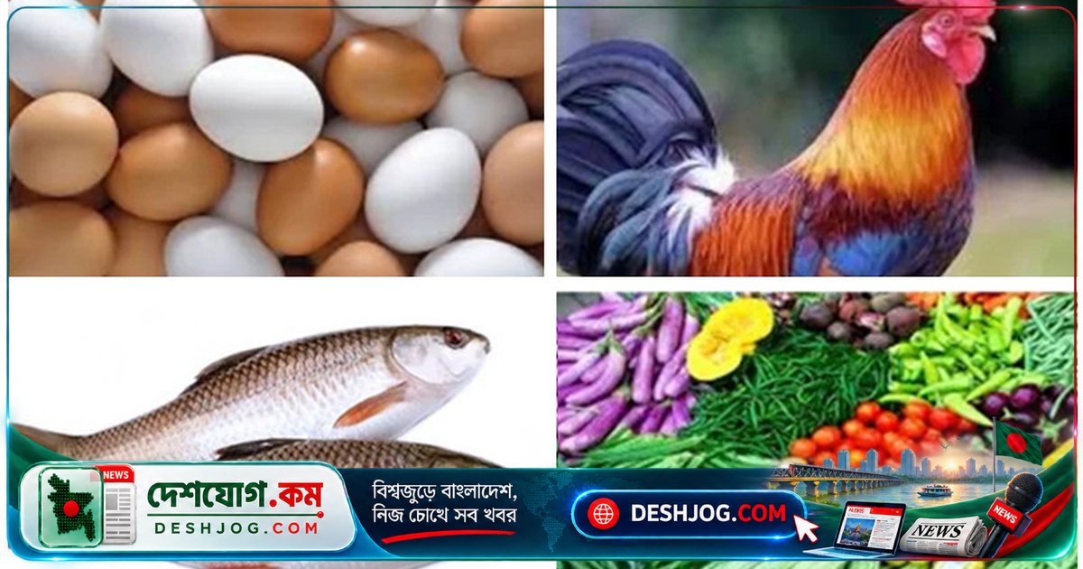 বাজারে ডিমের দাম কমলেও মাছ-মুরগি-মাংসের দামে স্বস্তি না, নিম্নবিত্তের জন্য দামের বোঝা বেড়েছে