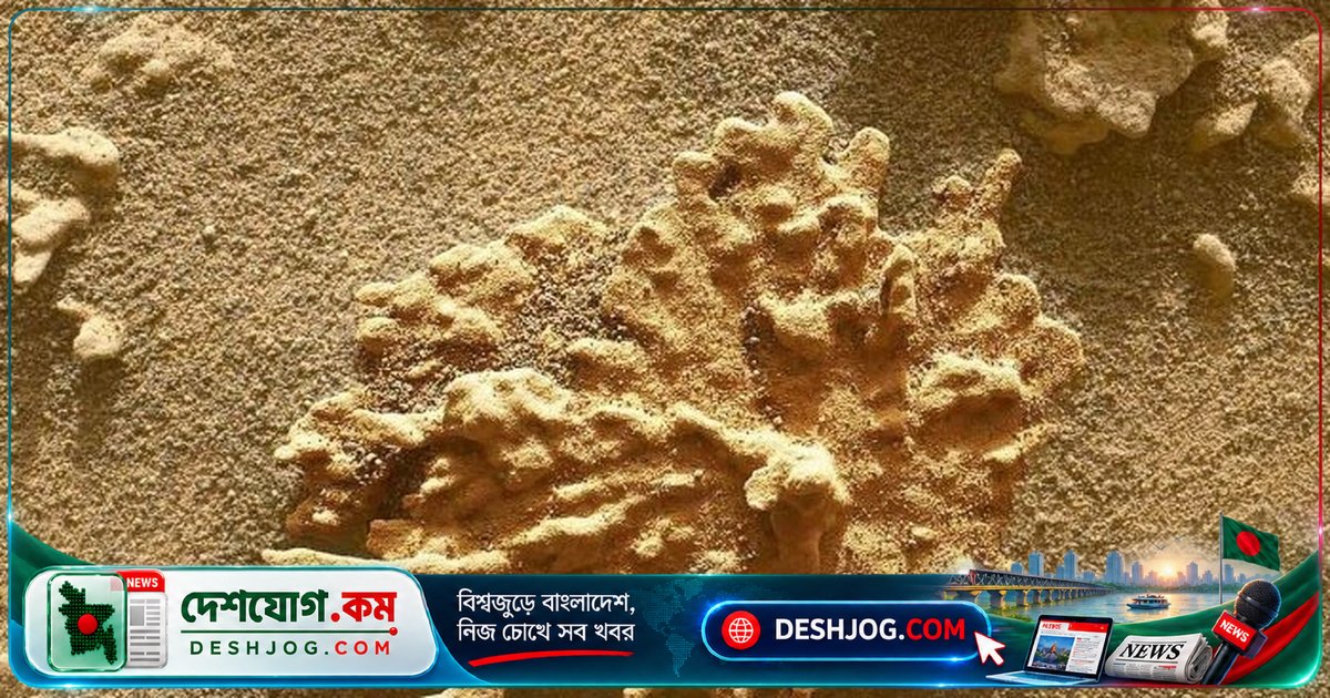 মঙ্গলে প্রাচীন পানির অদ্ভুত গল্প: পারসিভারেন্স রোভারের নতুন আবিষ্কার যা জলবায়ু বিজ্ঞানীদের চমকে দিচ্ছে