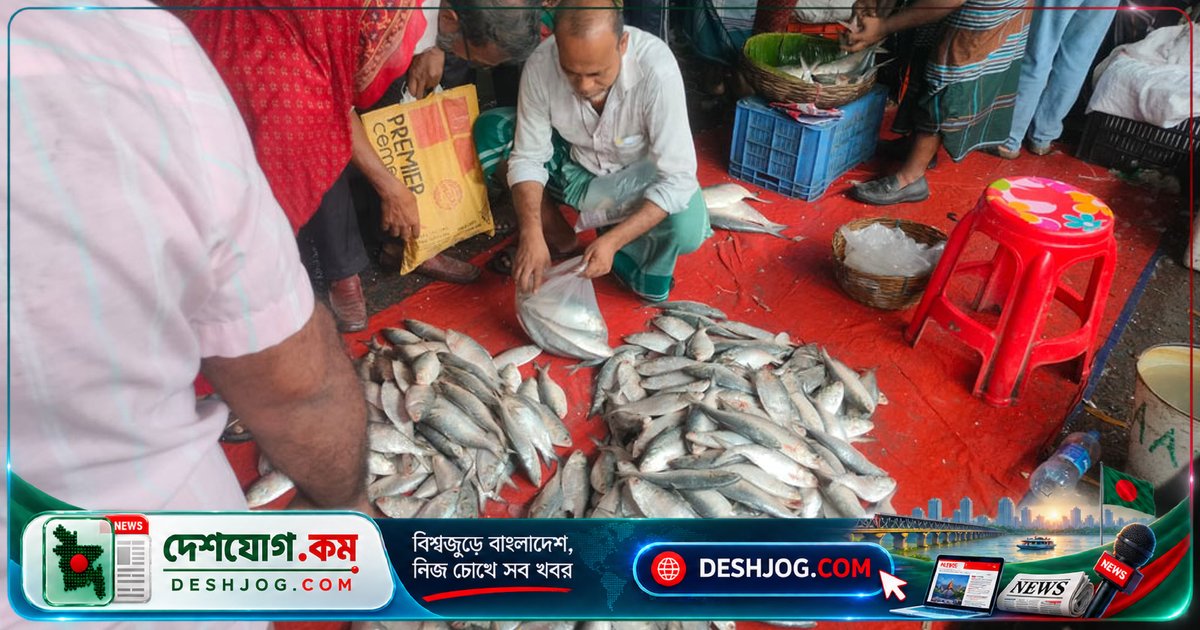 মা ইলিশ রক্ষায় নিষেধাজ্ঞা বাস্তবায়িত হলেও দামে কোনো হ্রাস নেই, মৎস্যজীবীদের হতাশা বেড়েছে