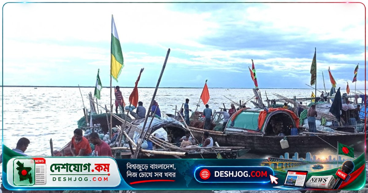 লক্ষ্মীপুরের মেঘনা নদীতে জাটকা সংরক্ষণের জন্য ৮ মাসের নিষেধাজ্ঞা জারি, ২৫ সেমি ছোট ইলিশের আহরণ বন্ধ