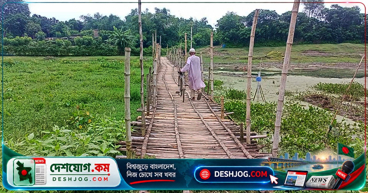 মেহেরপুরের ভৈরব নদে ৮০ বছর ধরে বাঁশের সাঁকোই যাতায়াতের একমাত্র মাধ্যম, সেতু নির্মাণের দাবি জোরালো