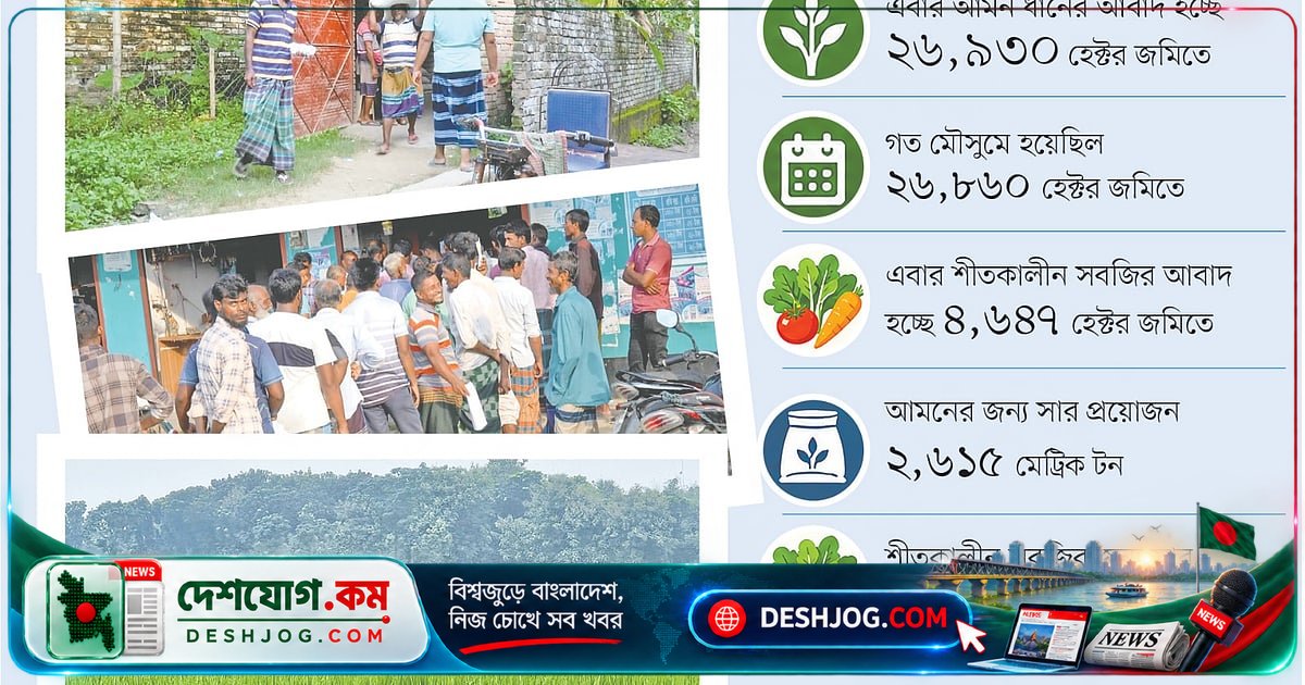 মেহেরপুরের কৃষকদের সার সংকট: ৮ বিঘা জমিতে মাত্র ৫০ কেজি সার দিয়ে কীভাবে ফসল ফলাব?