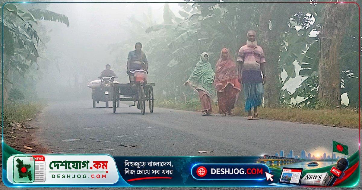 মেহেরপুরের গাংনীতে ঘন কুয়াশা ও শীতের আগমনী: চলাচল ব্যাহত, দুর্ঘটনার আশঙ্কা