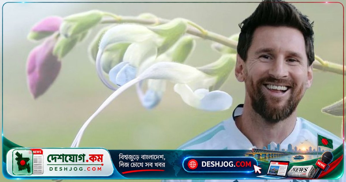 আর্জেন্টিনার পতাকার রঙে ফুলের পাপড়িতে মেসির নাম: বিজ্ঞানীরা আবিষ্কার নতুন সুগন্ধি উদ্ভিদ
