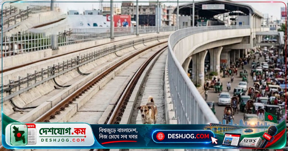 মেট্রোরেল লাইনে কুকুরের কারণে ট্রেন চলাচল বন্ধ, যাত্রীদের পড়তে হয় দীর্ঘ অপেক্ষা