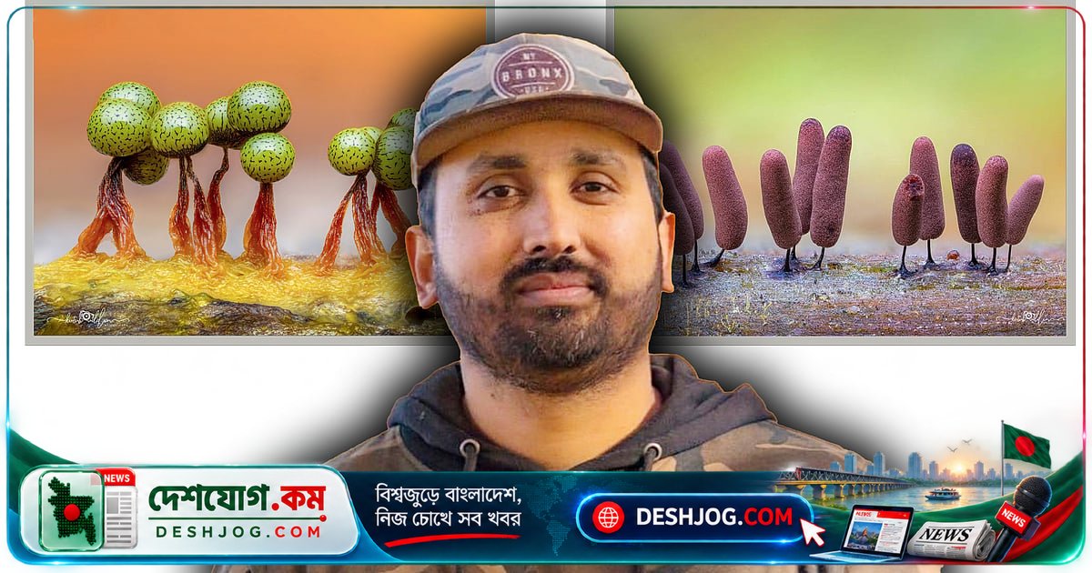ম্যাক্রো ফটোগ্রাফির মাধ্যমে অদৃশ্য জীবের বিশ্ব আবিষ্কার: কুতুব উদ্দিনের আন্তর্জাতিক পুরস্কার বিজয়ী গল্প