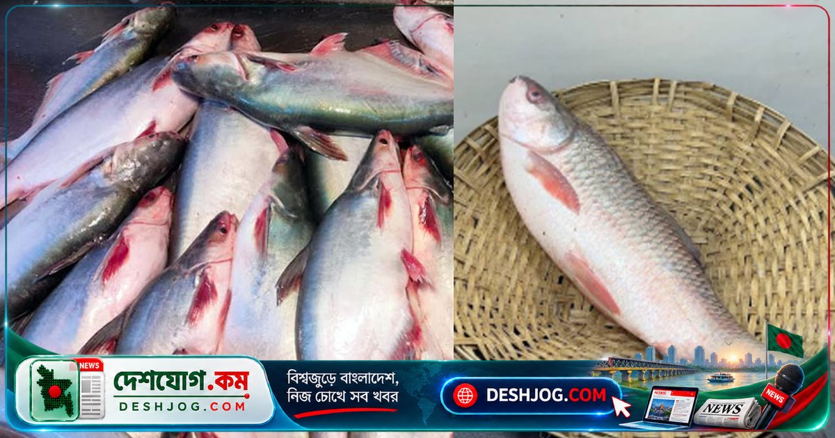 ময়মনসিংহের মাছ চাষের পুকুরে মাইক্রোপ্লাস্টিক দূষণ: পাঙাশ ও রুইতে সর্বোচ্চ সংক্রমণ