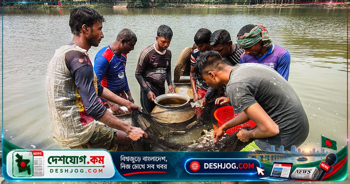 মাছ চাষের পুকুরে মাইক্রোপ্লাস্টিকের আশঙ্কা: গবেষণায় উঠে এসেছে মিঠাপানির মাছেও ক্ষতিকর প্লাস্টিক কণা