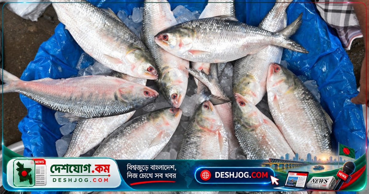 মৎস্য মন্ত্রী: বিজ্ঞানীদের সহযোগিতায় ইলিশ উৎপাদন বৃদ্ধির পথে সরকারের উদ্যোগ