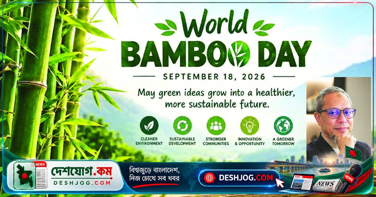 মিরাকল প্লান্ট বাঁশ: বাংলাদেশের অমূল্য প্রাকৃতিক সম্পদ ও অর্থনৈতিক সম্ভাবনা