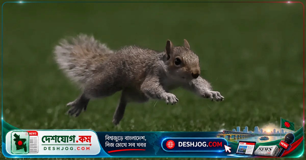 মেজর লিগ সকারে কাঠবিড়ালি ম্যাচে দর্শকদের মনোযোগ কেড়ে নেয়, ছয় গোলের রোমাঞ্চের মাঝে ঘটে অপ্রত্যাশিত ঘটনা